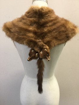 Womens, Cape 1890s-1910s, NL, Tan Brown, Fur, Solid, NA, Mink Fur Caplet, 2 Heads at Center Front with Two Tails, Longer Back with Four Rear Ends with Tails.very Good Condition. Satin Facing with Novelty Trim