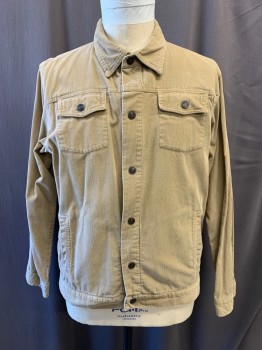 PAUL FRANK, Khaki Brown, Cotton, Corduroy, Collar Attached, Snap Front, Long Sleeves, 2 Breast Pockets