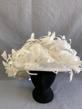 Womens, Hat , KOKIN, White, Horsehair, Feathers, Sheer Horsehair, Flat Crown, Brim Covered in White Goose Feathers with Full Ends and Long Stems