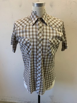 Mens, Western, WRANGLER, Lt Brown, White, Dk Brown, Teal Blue, Cotton, Plaid, N15.5, S/S, Snap Front, Patch Pockets with Flaps and Snaps, Pearl Snaps