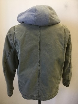 GUESS, Olive Green, Gray, Beige, Cotton, Polyester, Solid, Zip Front, Removable Faux Hoodie That Zips Out, Jacket with Many Pockets, Canvas,