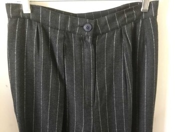 NOVIELLO BLOOM, Charcoal Gray, Silver, Rayon, Acetate, Stripes - Vertical , Fully Lined, Single Pleat, Zip Front, Waistband, 2 Hip Pocket,