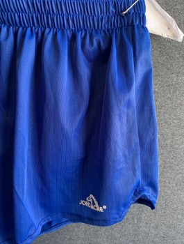 JORDACHE, Royal Blue, Nylon, Stripes - Pin, Athletic, Elastic Waist, Short Shorts with 1" Inseam, Built in Briefs, Logo at Hem