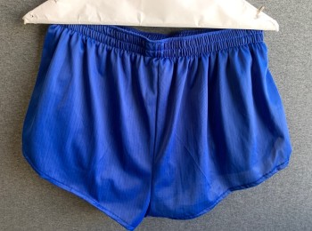 JORDACHE, Royal Blue, Nylon, Stripes - Pin, Athletic, Elastic Waist, Short Shorts with 1" Inseam, Built in Briefs, Logo at Hem