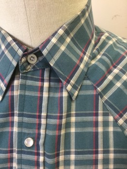 PLAINS, Dk Green, Lt Gray, Maroon Red, Navy Blue, Beige, Cotton, Plaid, Short Sleeves, Snap Front, Collar Attached, Light Gray/Silver Snaps, 2 Pockets with Snap Closures, Western Style Yoke,