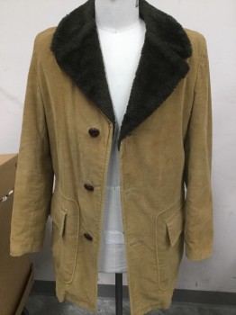 SEARS, Camel Brown, Brown, Cotton, Wool, Solid, Corduroy, Brown Fur Notched Collar and Lining, Pocket Flap, Button Front,