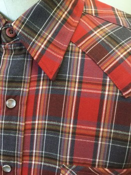 PENDLETON, Red, Charcoal Gray, Black, White, Brown, Wool, Plaid, Long Sleeves, Gray and Silver Snap Closures at Front, Collar Attached, Western Style Yoke and Pocket Flaps, 2 Pockets, Vintage