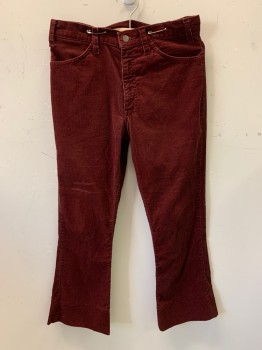 LEVI'S, Maroon Red, Polyester, Solid, Corduroy, Zip Front, Button Closure, 4 Pockets