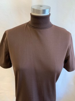 N/L, Brown, Polyester, Spandex, Solid, S/S, Turtleneck, Zipper at Back, Hand Picked Stitching at Sides,