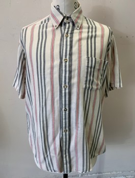 PAR FOUR, Ecru, Gray, Cherry Red, Cotton, Stripes - Vertical , Very Lightweight Cotton, Short Sleeves, Button Front, Collar Attached, Button Down Collar, 1 Patch Pocket with Button