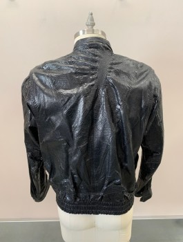 N/L, Black, Leather, Reptile/Snakeskin, Band Collar,  Zipper & Snap Front,