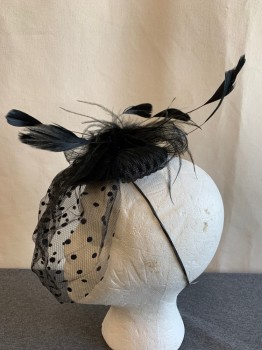 N/L, Black, Plastic, Feathers, Solid, Small Teardrop Base with Double Hair Clips, Horsehair Bow, Novelty Dot Netted Veil,