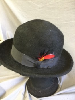 BILTMORE PELUCHE, Black, Fur, Solid, Black Gross Grain Ribbon Hat Band with Red & Black Feather Trim, Fur Felt Bowler,