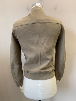 ALL SAINTS, Taupe, Leather, Solid, Zip Front, 3 Zip Pockets, Rib Knit Collar,cuffs & Hem