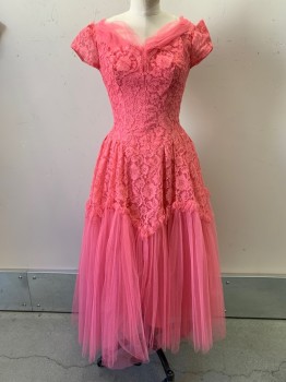 NO LABEL, Hot Pink, Polyester, Floral, S/S, Tulle Sweetheart Neckline, Lace Detail, Ruffled Seam with Tulle Bottom, Back Zipper,