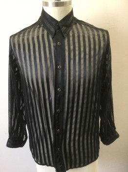 SANGI, Black, Iridescent Black, Polyester, Stripes - Vertical , Sheer Chiffon with Opaque and Iridescent Vertical Stripes, Long Sleeve Button Front, Collar Attached, Black and Bronze Buttons,