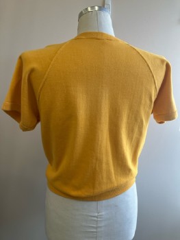 N/L, Yellow, CN, Raglan S/S, Rib Knit Trim Collar/Cuff/Waistband, Stains, Multiple