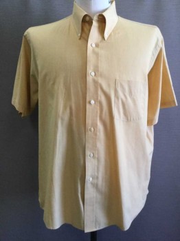 ARROW, Turmeric Yellow, Cotton, Solid, Button Front, Short Sleeves, Pointy Collar Attached, 1 Pocket