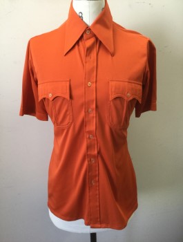 MCGREGOR, Rust Orange, Polyester, Solid, Stretchy Material, Short Sleeve Button Front, Collar Attached, 2 Patch Pockets with Batwing Flaps and 1 Button Closure,