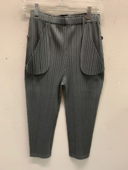 N/L, Gray, Polyester, Solid, Pleated Texture Fabric, Elastic Waist, High Rise, Tapered, Cropped Leg, 2 Side Pockets with Curved Oversized Flaps, Belt Loops