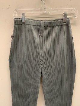 N/L, Gray, Polyester, Solid, Pleated Texture Fabric, Elastic Waist, High Rise, Tapered, Cropped Leg, 2 Side Pockets with Curved Oversized Flaps, Belt Loops