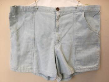 WEEDS, Baby Blue, Cotton, Solid, Light Baby Blue Corduroy, 1" Waistband, 3 Pockets, Zip Front,