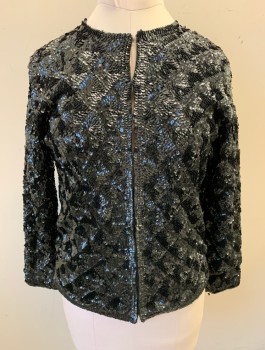 N/L, Iridescent Black, Sequins, Solid, L/S,  Open Front with Hook & Eye Closures, Black Acetate Lining