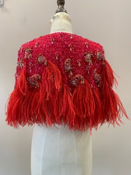NO LABEL, Cherry Red, Pink, Gold, Silk, Sequins, Textured Fabric, Full Sequins, Crew Neck, Beaded Paisley Detail feathered Bottom, Back Snap Buttons