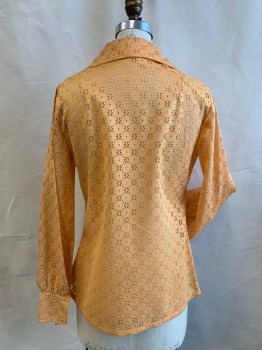 CAREFREE FASHIONS, Peach Orange, Solid, Floral Eyelet Lace, Gold Square Button Front, Pointy Collar Attached, Long Sleeves, Button Cuff