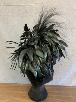 KOKIN, Black, Iridescent Black, Feathers, Solid, Velvet Covered Padded Headband with Attached Skull Cap Festooned with Feathers and Glitter Leaves, 360 Degrees of Spectacular