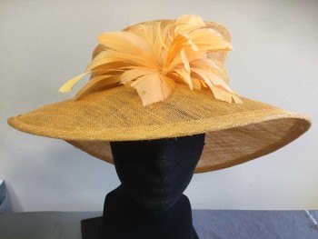 N/L, Apricot Orange, Straw, Feathers, Solid, Wide Brim, Feather 'Flower', Tall Crown