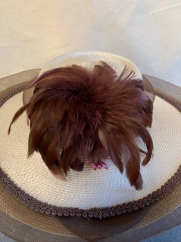NO LABEL, Pearl White, Dk Brown, Straw, Round Crown, Wide Brim, Net Trim, Embroiderred And Feathered Detail