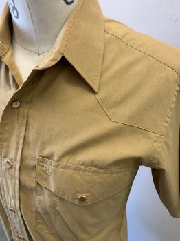 RESISTOL, Tan Brown, Poly/Cotton, Solid, S/S, Chest Pockets with Flaps, Amber Pearl Snap Front