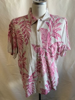 TOMMY BAHAMA, Lt Gray, Magenta Pink, Olive Green, Cotton, Silk, Hawaiian Print, S/S, Button Front, Plastic Wood Buttons