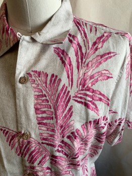 TOMMY BAHAMA, Lt Gray, Magenta Pink, Olive Green, Cotton, Silk, Hawaiian Print, S/S, Button Front, Plastic Wood Buttons