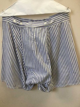 THE VERMONT COUNTRY, Lt Blue, White, Cotton, Stripes - Vertical , Stripes - Horizontal , Light Blue Horizontal Chevron Waist Band W/3 Button Front, Adjustable Short Belt Back W/4 Buttons Back Center (the Vermont Country Store), Multiples,