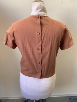 NO LABEL, Brown, Cotton, Solid, S/S, Crew Neck, Embroiderred Stripe Detail with Lace Trim, Back Buttons, Faded Shoulders