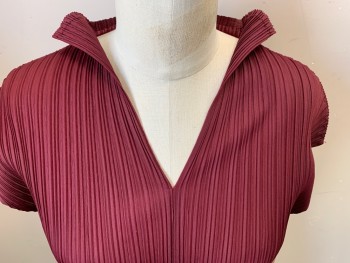 N/L, Red Burgundy, Polyester, Solid, Sleeveless, V-neck, Permanent Pleating