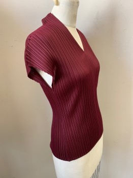N/L, Red Burgundy, Polyester, Solid, Sleeveless, V-neck, Permanent Pleating