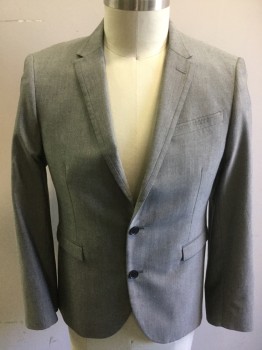 ALTAMODA, Lt Gray, Polyester, Viscose, 2 Color Weave, Single Breasted, 2 Buttons,  Seam Detail on Notched Lapel, 1 Back Vent