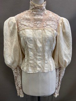 N/L MTO, Cream, Cotton, Leg O'Mutton Sleeves, Sheer Net Shoulders and Band Collar with Antique Lace, Vertical Stripes of Lace Net at Front, Buttons in Back, Slim Lace Cuffs with Many Buttons, Made To Order