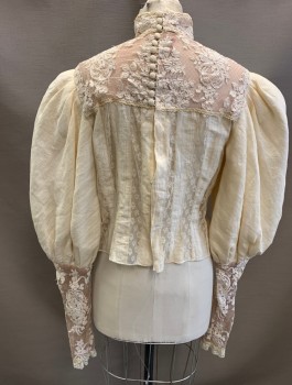 N/L MTO, Cream, Cotton, Leg O'Mutton Sleeves, Sheer Net Shoulders and Band Collar with Antique Lace, Vertical Stripes of Lace Net at Front, Buttons in Back, Slim Lace Cuffs with Many Buttons, Made To Order