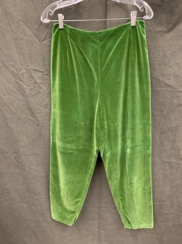 ALFRED PAGUETTE, Green, Cotton, Solid, Velvet, High-Waisted, Back Zip, Tapered