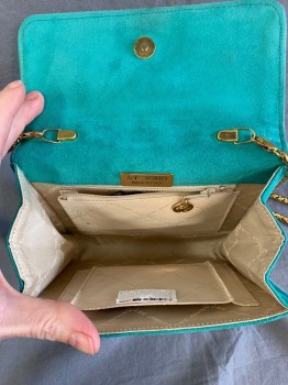 ST. JOHN, Sea Foam Green, Suede, Solid, Heavy Gold Chain Strap, Little Aged, Magnetic Closure,