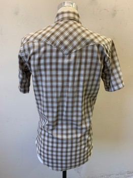 WRANGLER, Lt Brown, White, Dk Brown, Teal Blue, Cotton, Plaid, S/S, Snap Front, Patch Pockets with Flaps and Snaps, Pearl Snaps